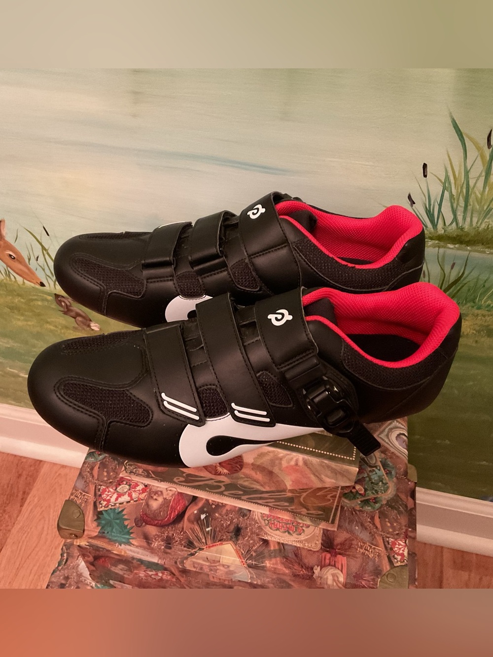 PELOTON CYCLING SHOES MEN’S SIZE 45, NEW WITHOUT TAGS